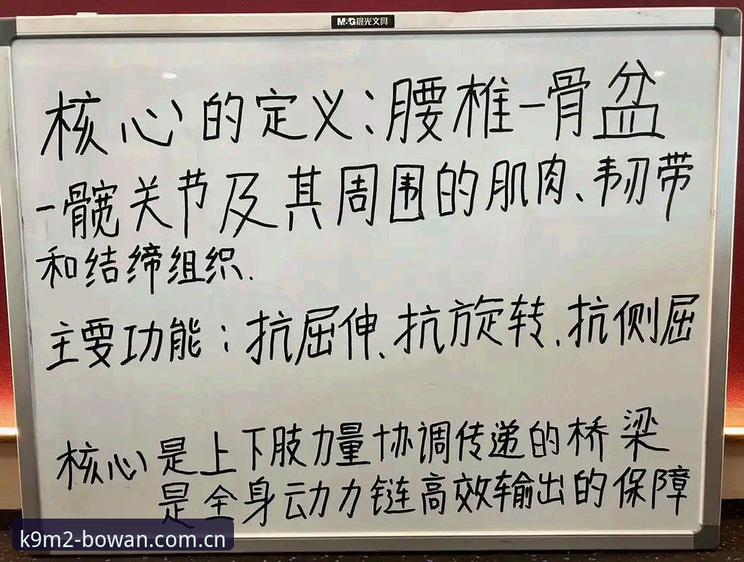 老用户亲测：博万体育平台实战经验分享，BOWAN体育推荐的使用心得与技巧